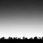 Juniper trees in the Steens (2013).